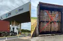 Piauí exporta 24 toneladas de cera de carnaúba para Holanda