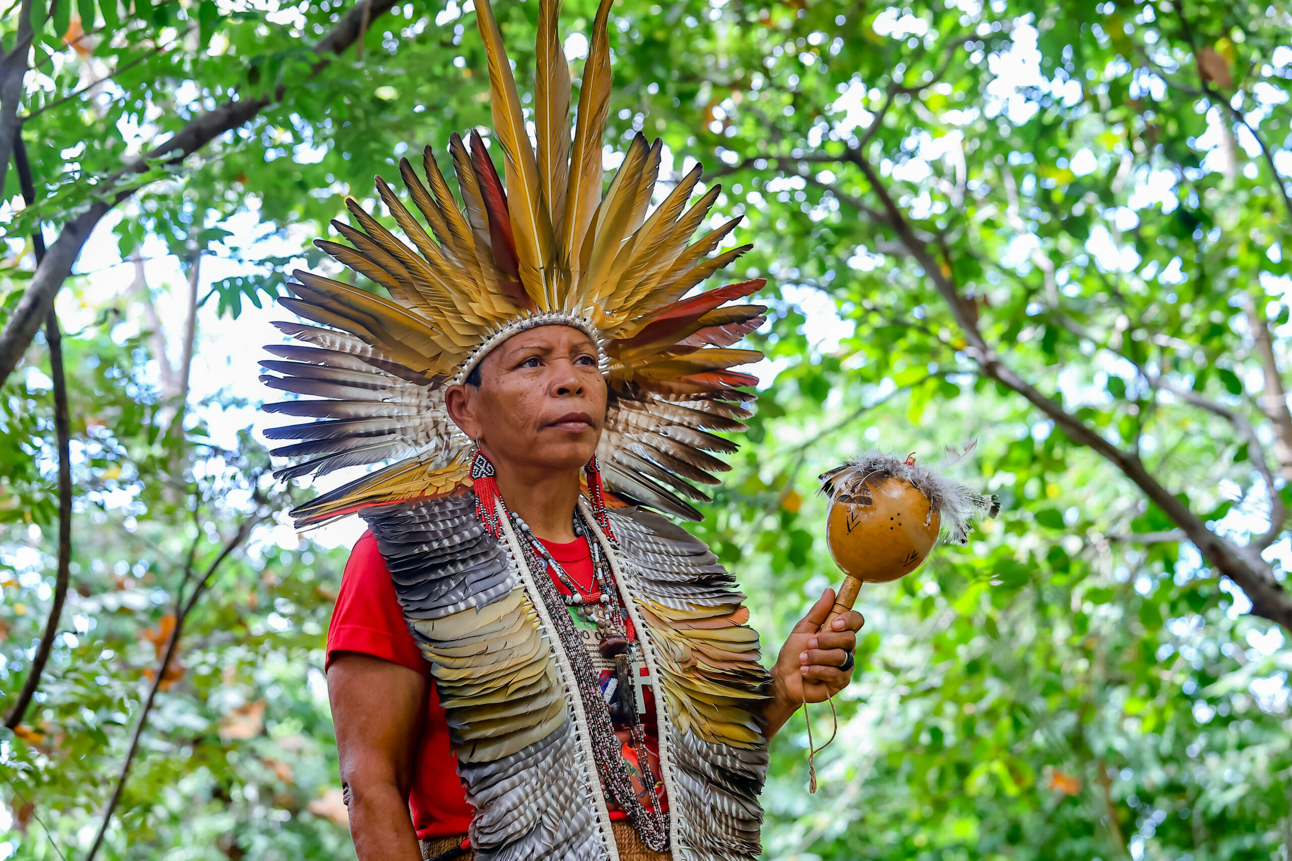 Encontro da Agricultura Familiar do Piauí será espaço de intercâmbio de saberes, cultura e experiências entre os dias 2 e 4 de julho