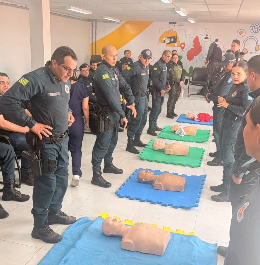 SSP-PI promove curso “Segurança que Salva” para capacitar forças de segurança em Campo Maior
