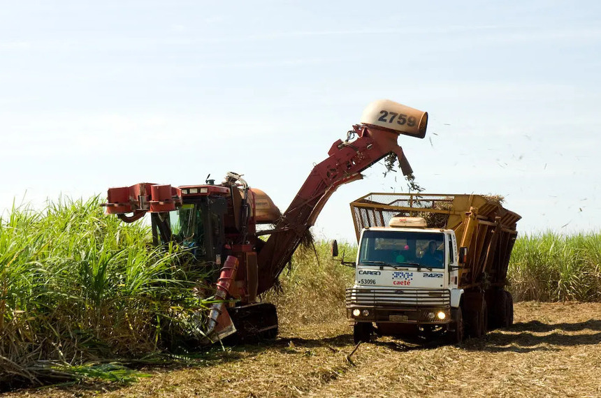MP prevê incentivo financeiro a produtores de cana do Nordeste