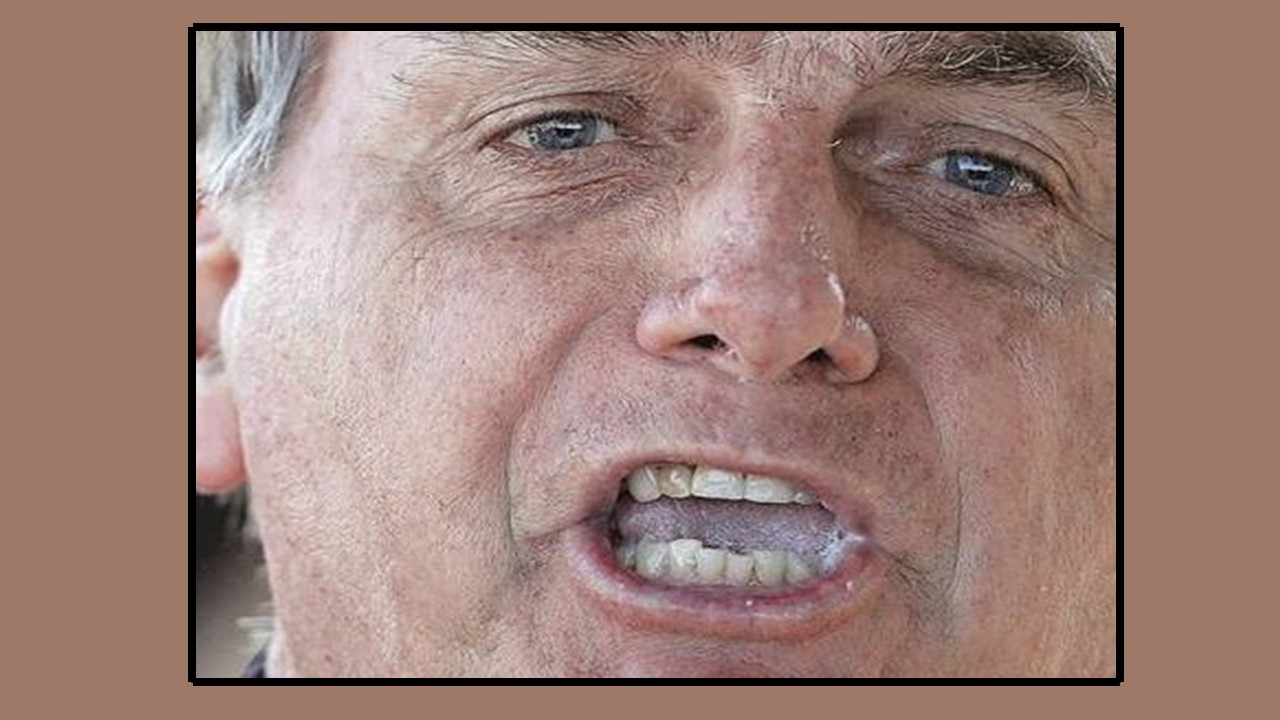 Absurdo, grotesco: o réu Bolsonaro exibe o próprio intestino em foto repulsiva