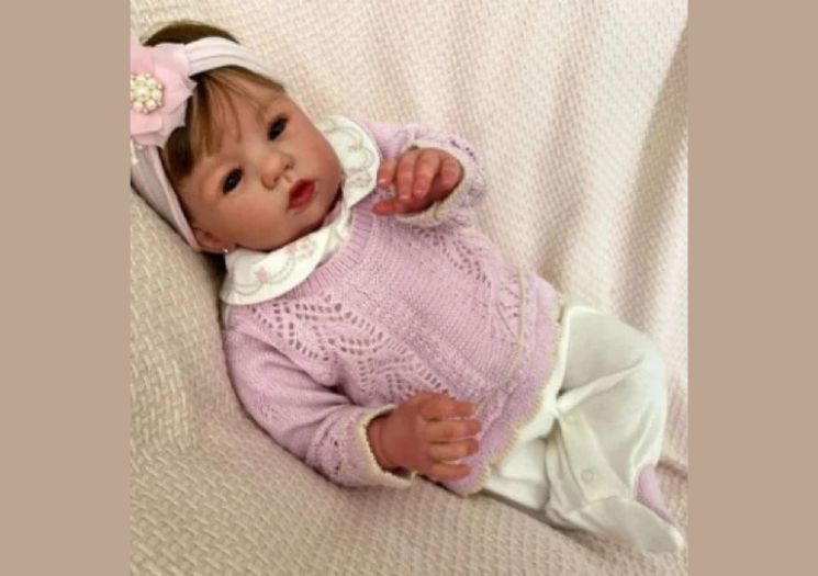 Primeiro internam as mães de bebê reborn, depois as LGBT