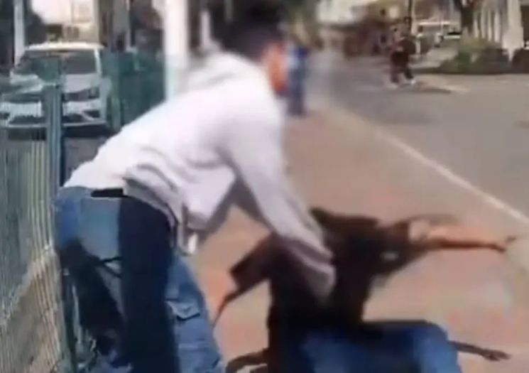 VÍDEO: Mulher incentiva filho a espancar adolescente e é presa em MG