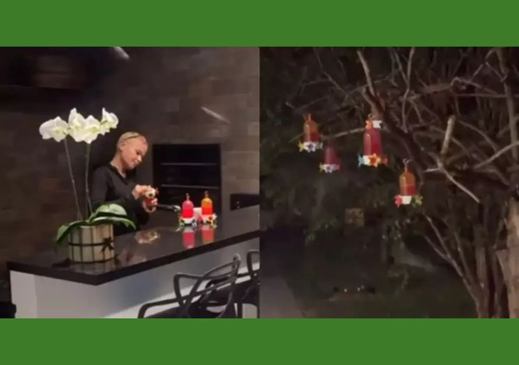 VÍDEO: Você já deu comida a morcegos? A Xuxa, já!