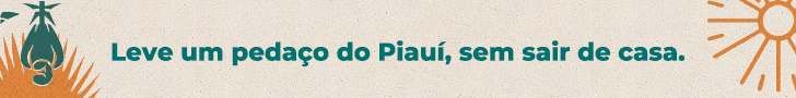 MADE IN PIAUÍ
