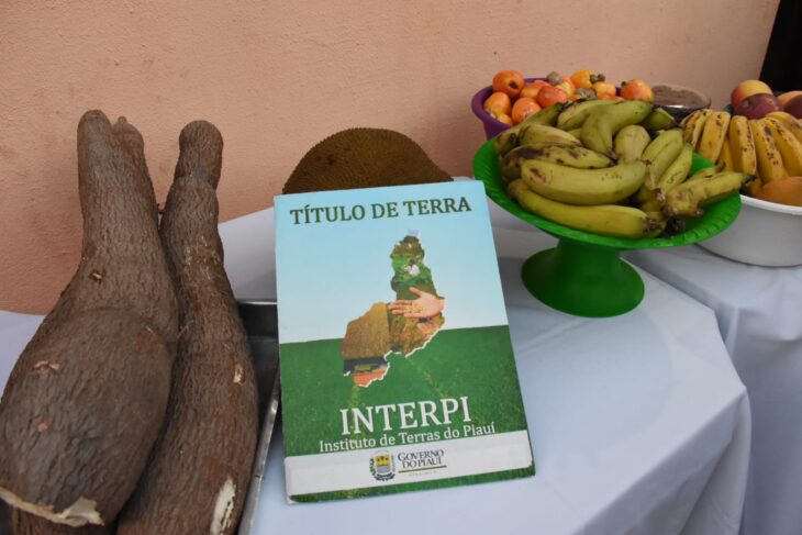 Títulos de terra serão entregues em Curimatá e Cristino Castro nos dias 26 e 27 de junho