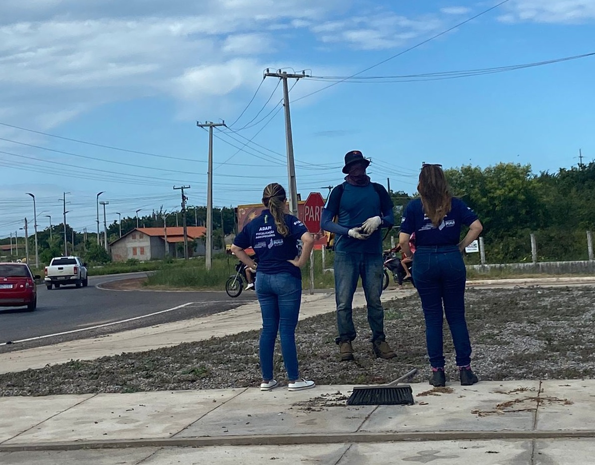 Adapi intensifica fiscalização e reforça proibição de capina química em áreas urbanas