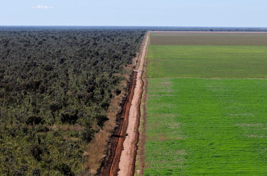 CRE vota ampliação de prazo para registro de imóvel rural em faixa de fronteira