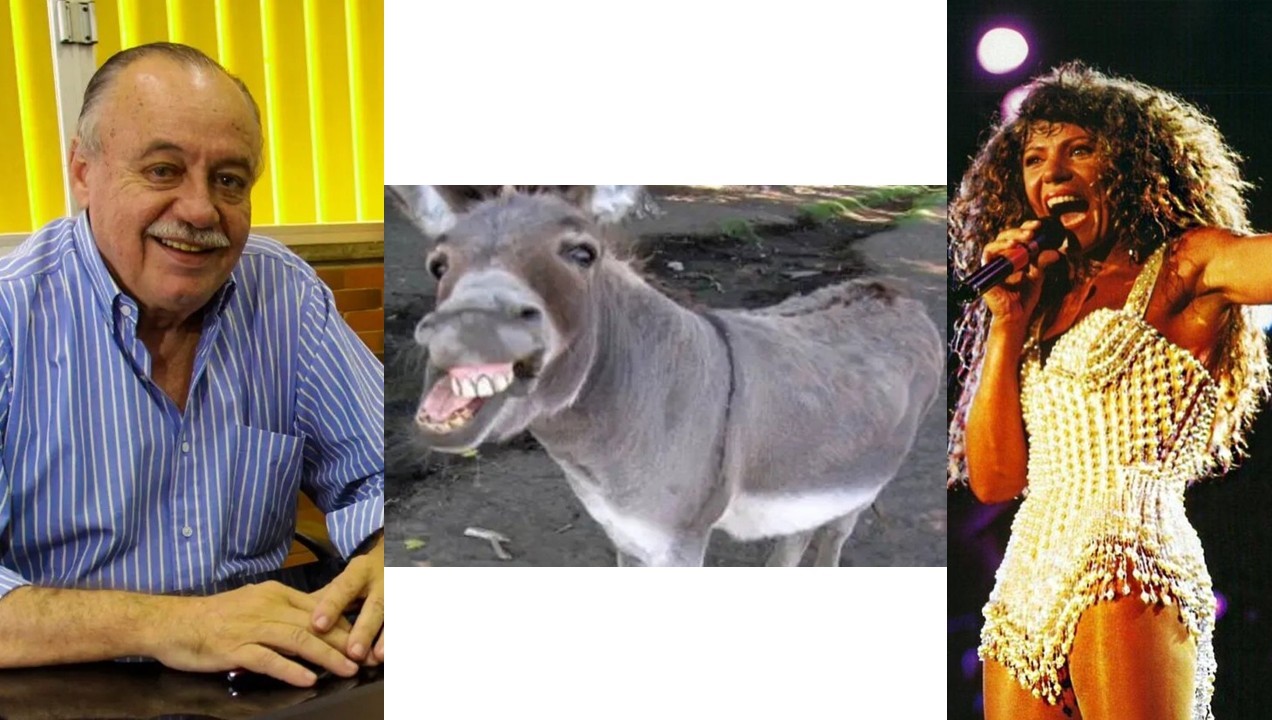 Freitas Neto, Elba Ramalho e um jumento embriagado