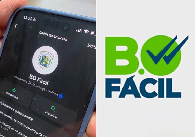 Piauí lança BO Fácil: registre ocorrências via WhatsApp