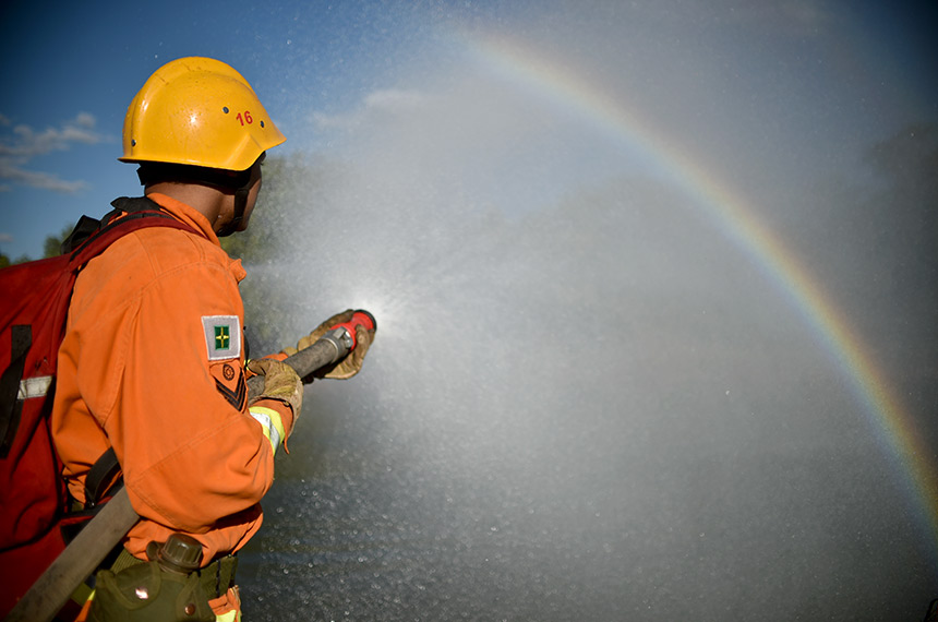 Corpo de Bombeiros do DF completa 169 anos e será homenageado pelo Senado