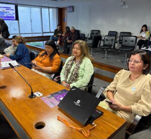 Sempi participa da audiência no Senado sobre criação da Rede Nacional de Observatórios da Mulher