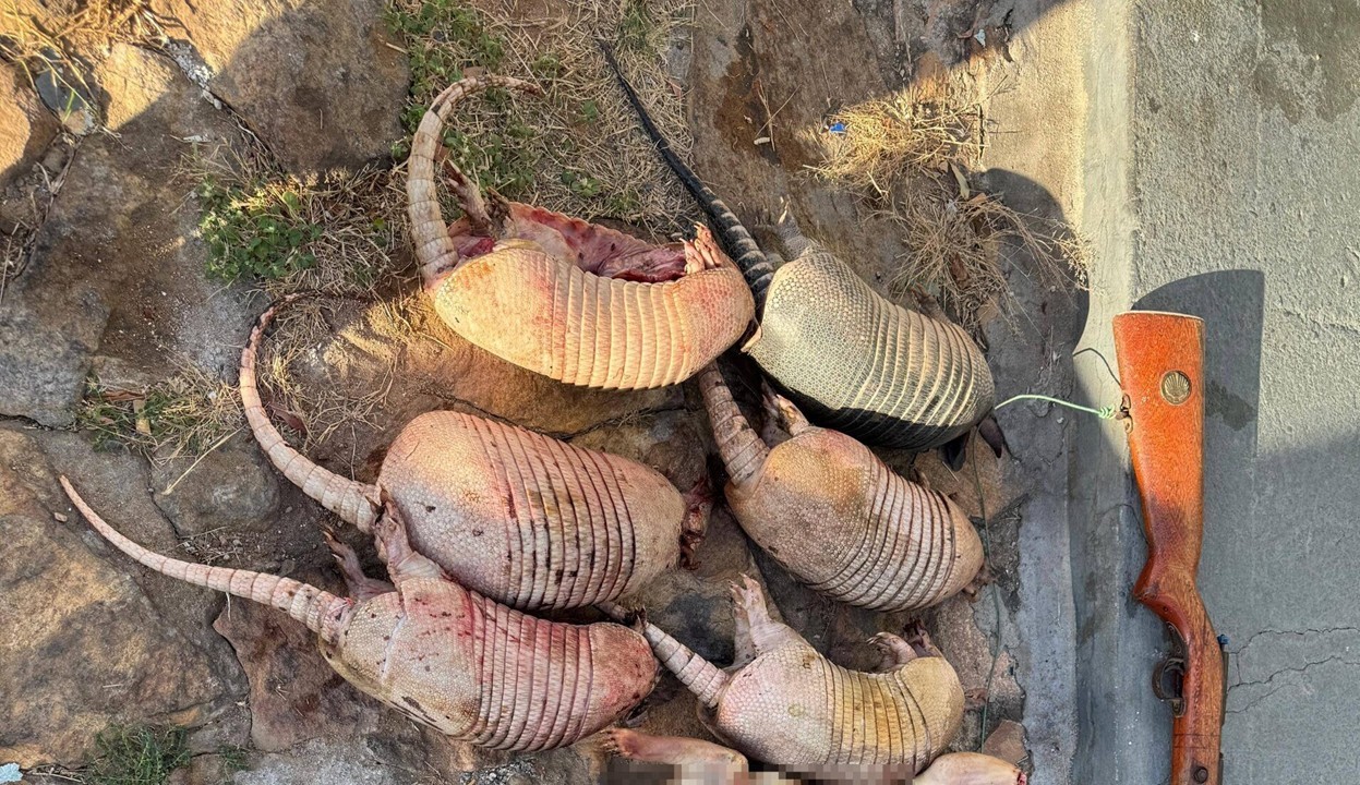 PM intercepta caçadores e apreende animais abatidos na região da Serra da Capivara
