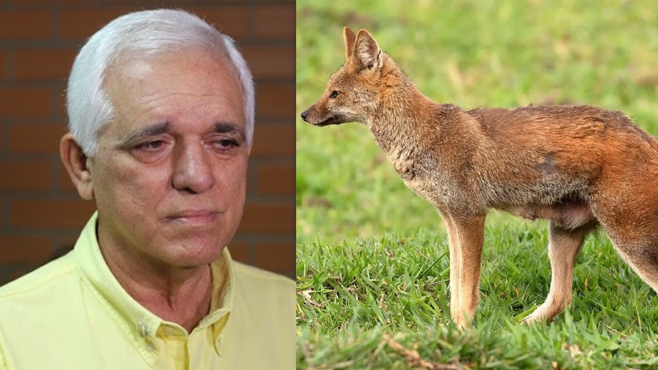 Themístocles Filho e a raposa