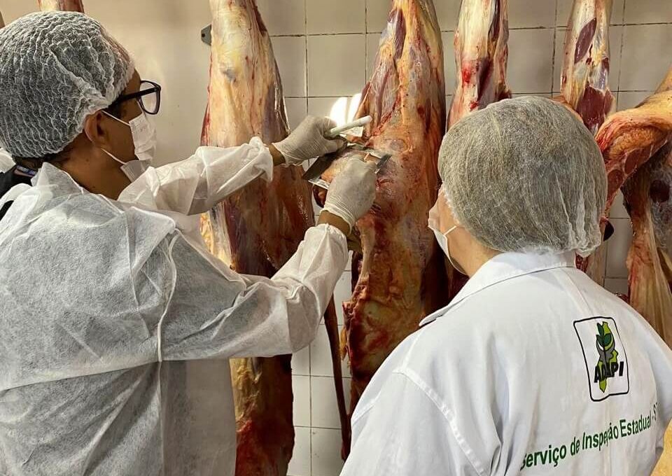 Serviço de Inspeção Estadual assegura qualidade e segurança de alimentos consumidos no Piauí