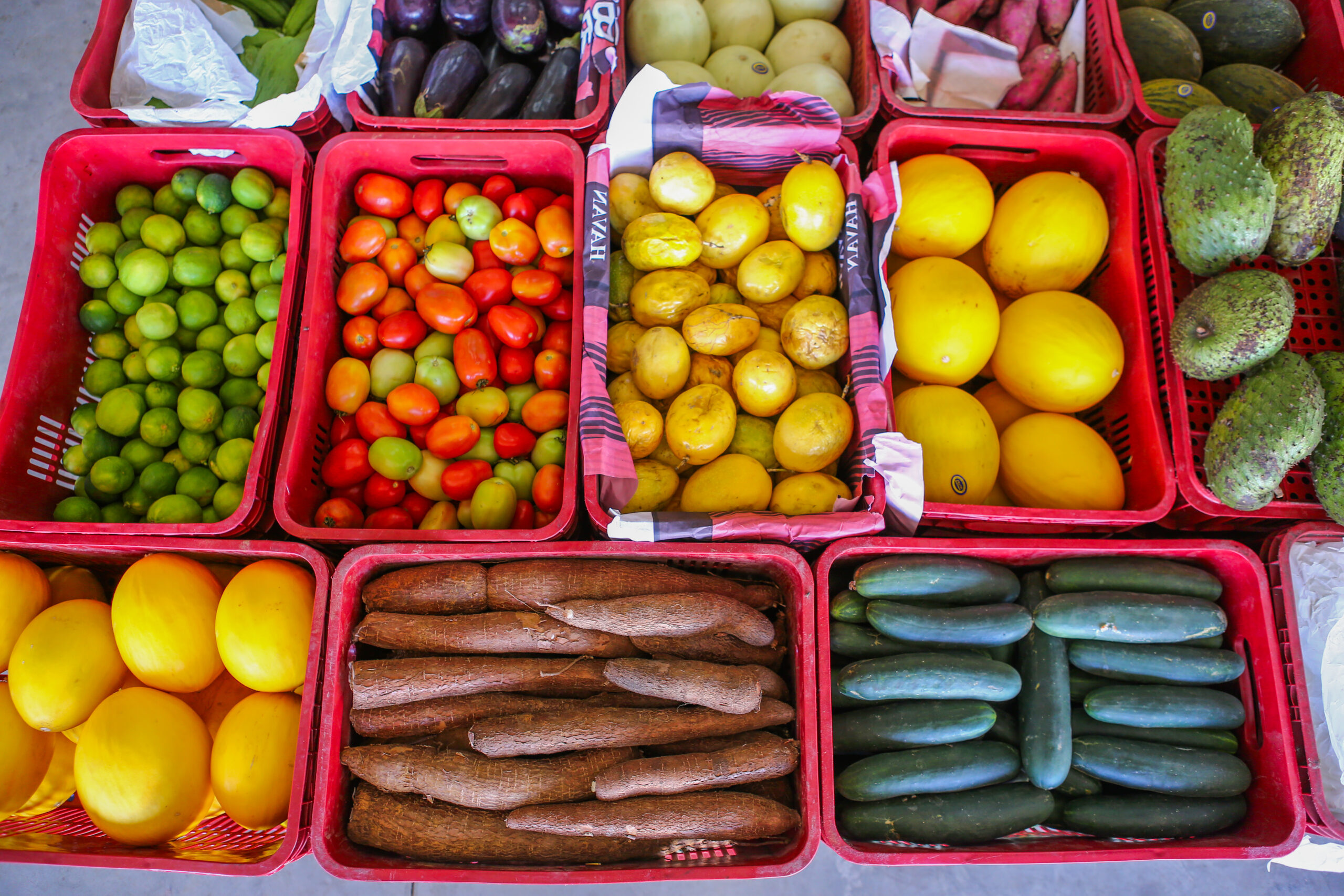 SAF lança edital com R$ 5 milhões para compra de alimentos da agricultura familiar nesta quarta (9)