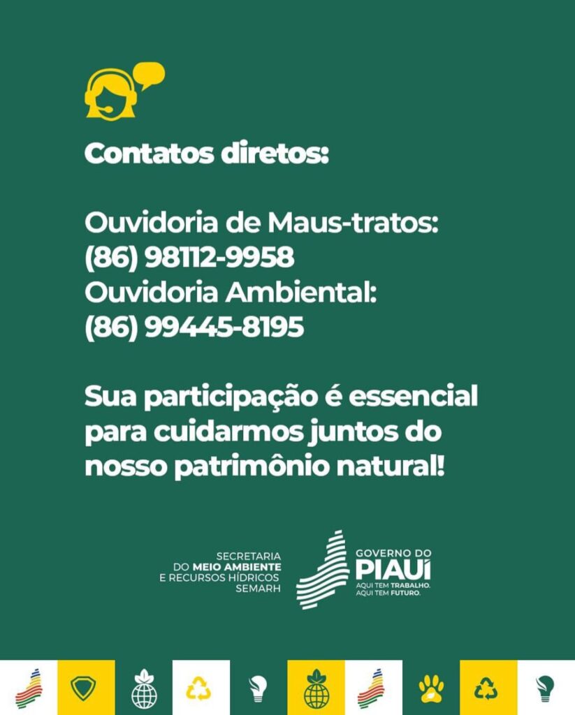Semarh recebe 420 denuncias de maus-tratos a animais no último trimestre, quase 15% foram feitas de outros estados