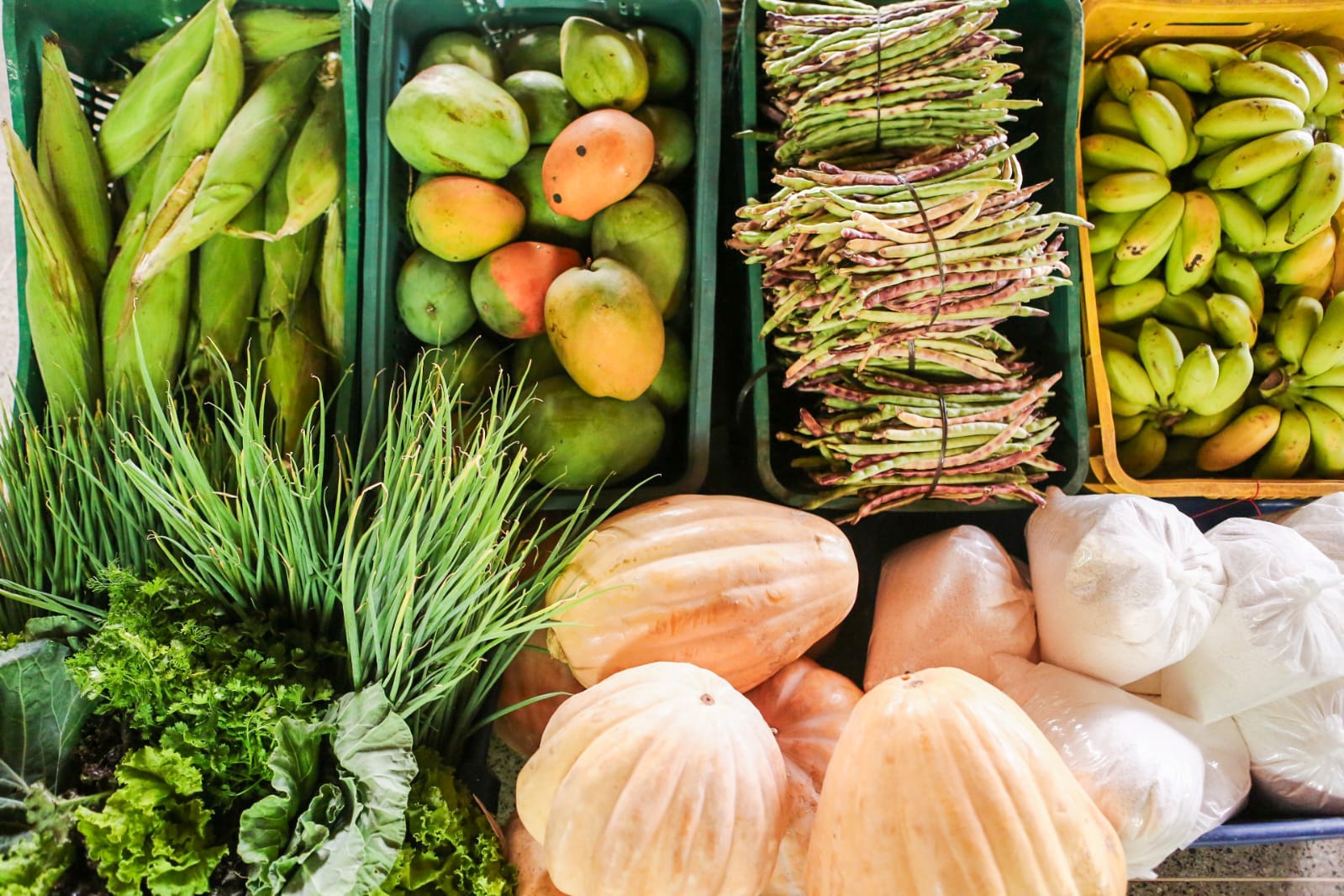 SAF lança edital com R$ 5 milhões para a compra de alimentos da agricultura familiar