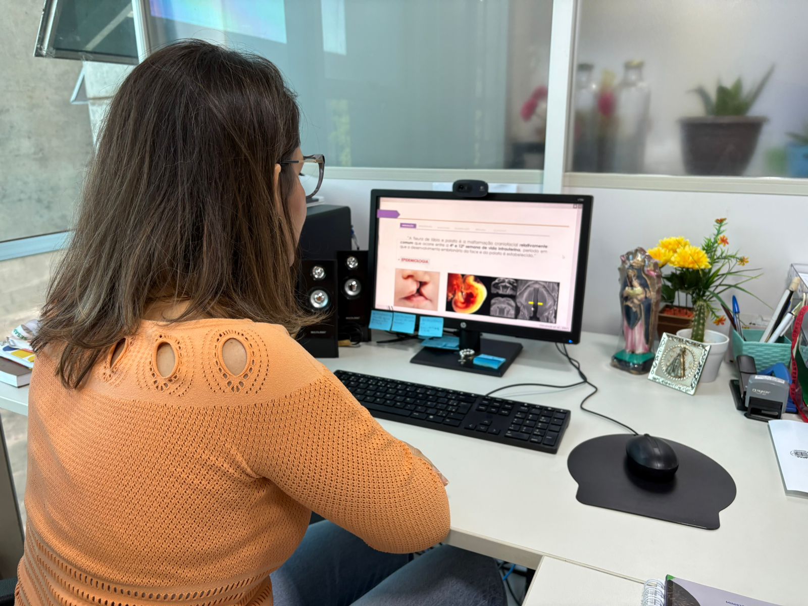 Sesapi promove webinário sobre cuidado integral aos pacientes com fissura labiopalatina na rede pública