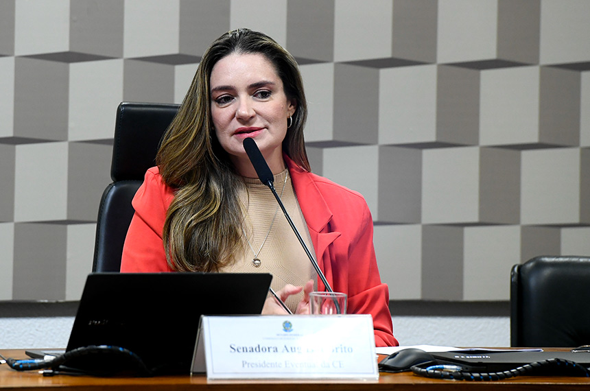 Articulação é fundamental para garantir alfabetização, opinam debatedores