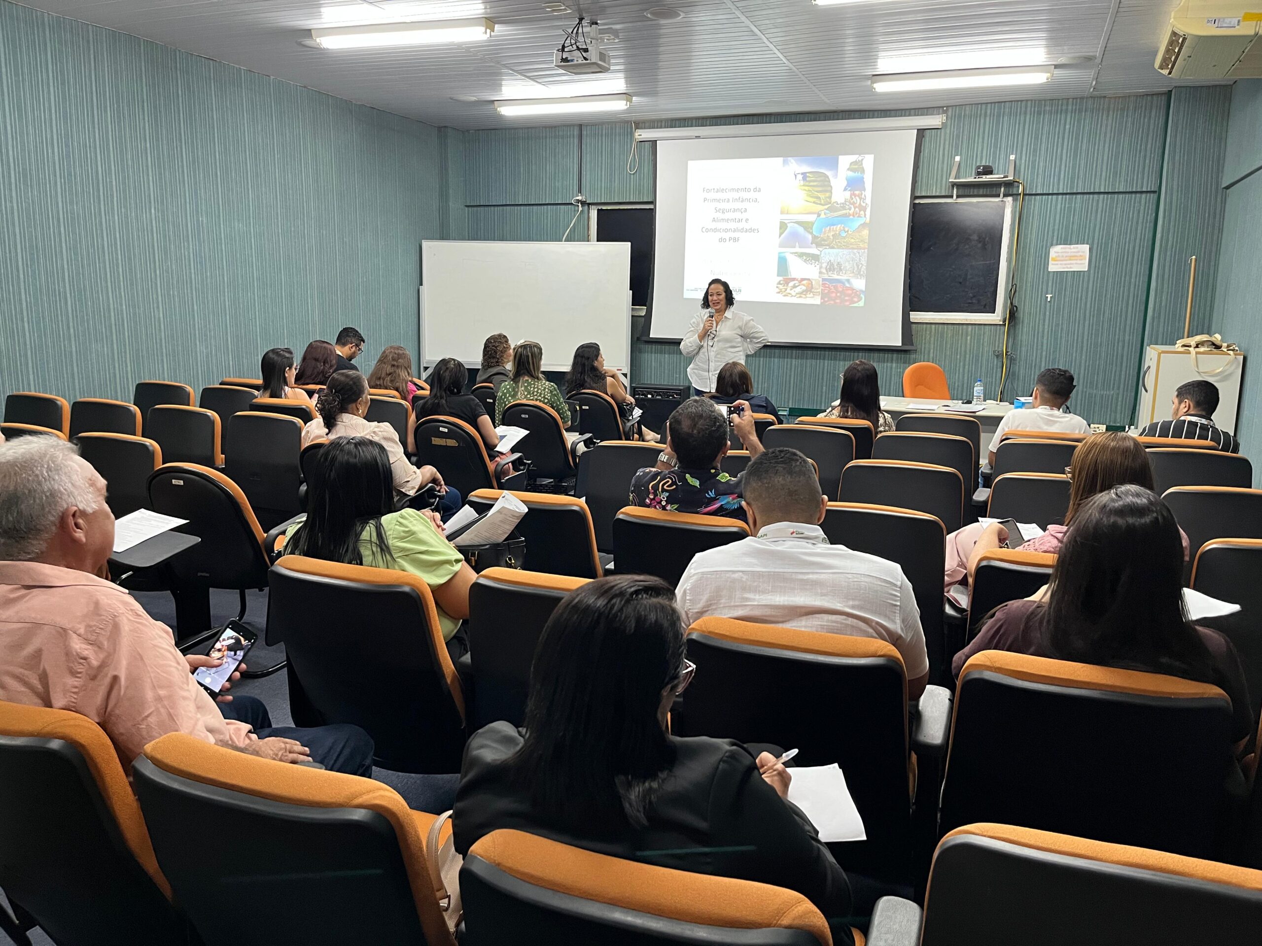 Sesapi capacita coordenadores e técnicos das doze regionais sobre ações voltadas à Primeira Infância