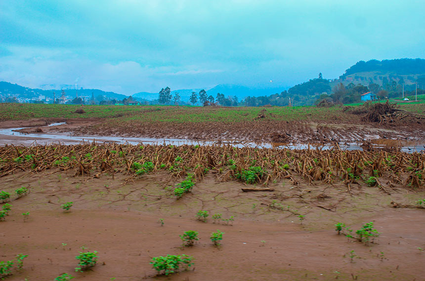 Senado deve analisar Fundo Social do pré-sal para agricultores em calamidades