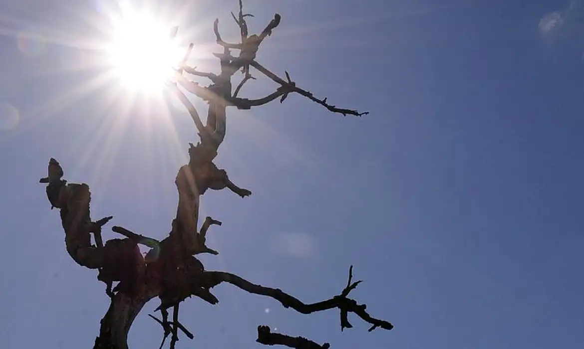 Clima de deserto: inverno derruba temperaturas na madrugada e umidade do ar à tarde no sul do Piauí