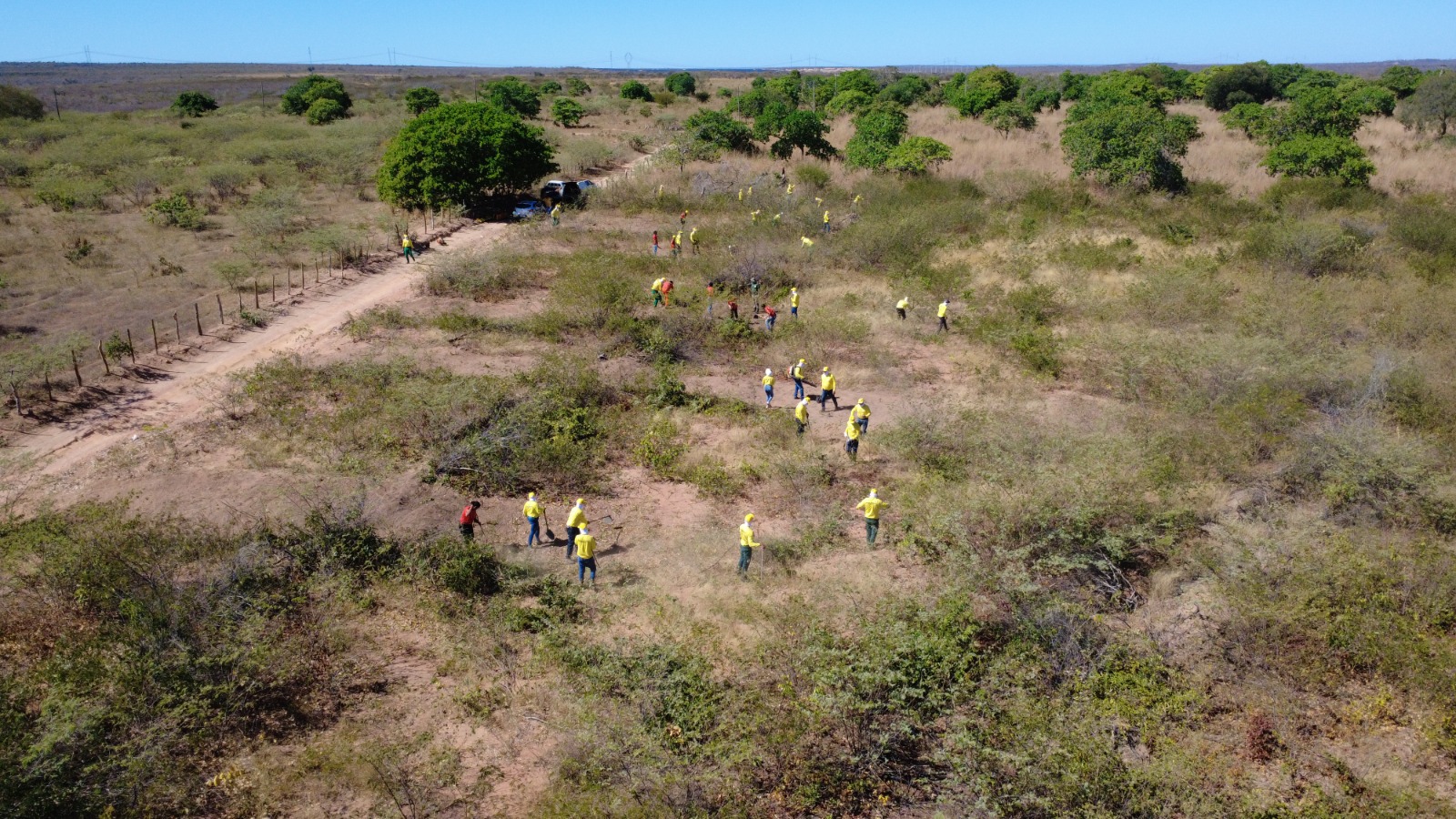 Piauí amplia proteção ambiental com formação de novos brigadistas; maior formatura da história será na sexta (25)