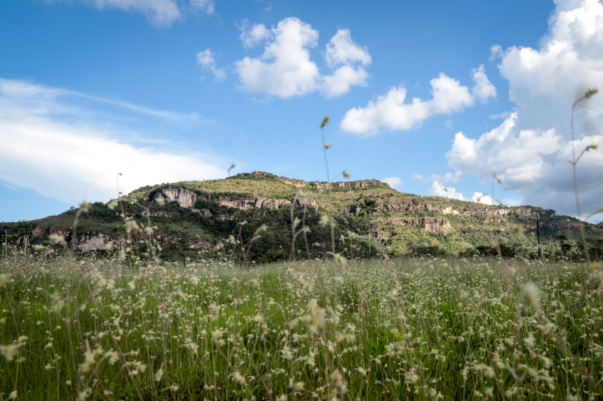 Governo do Piauí sanciona Refis Ambiental com descontos de até 90% em multas