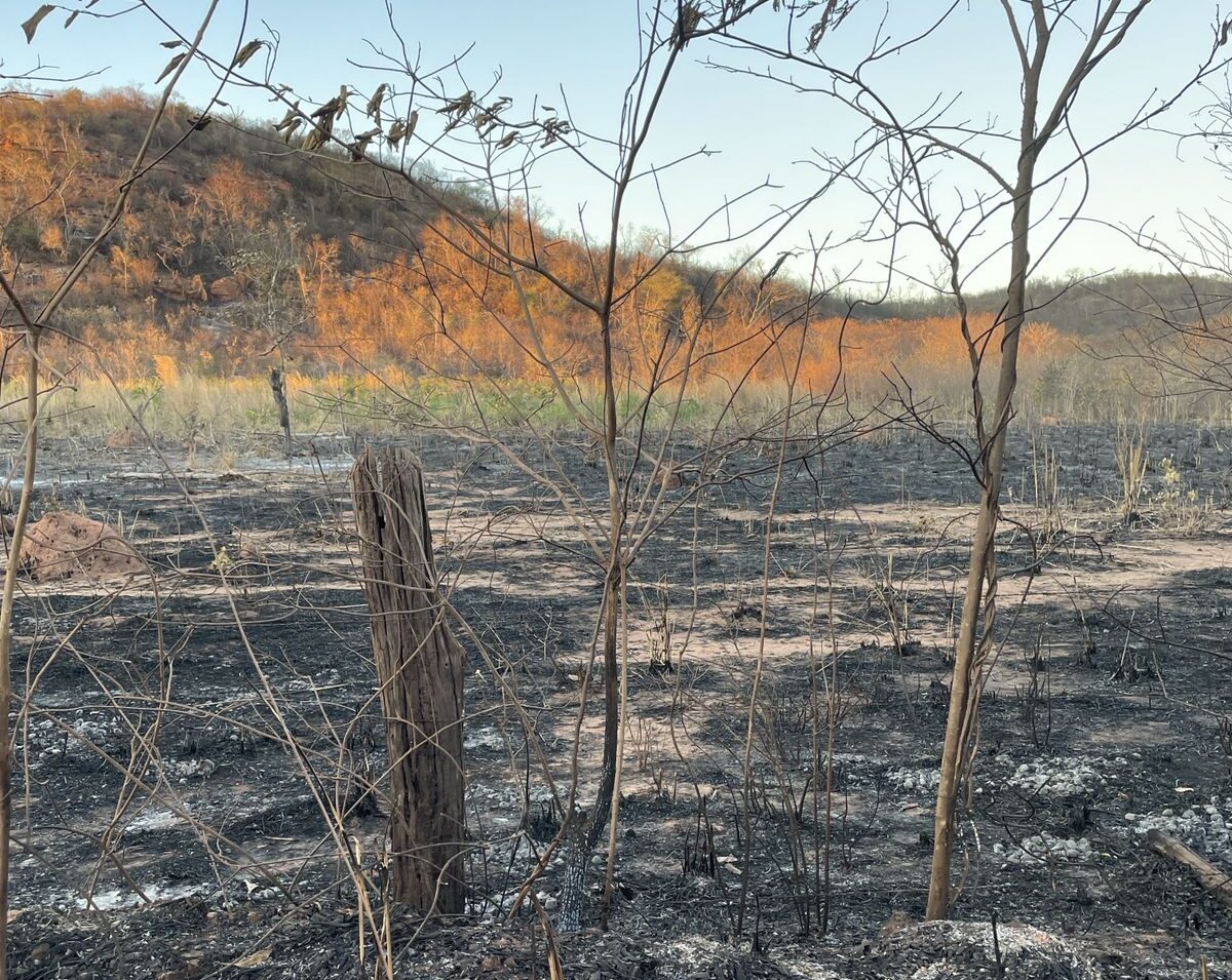 Brigadistas controlam incêndio em área próxima aos Cânions do Viana no sul do Piauí