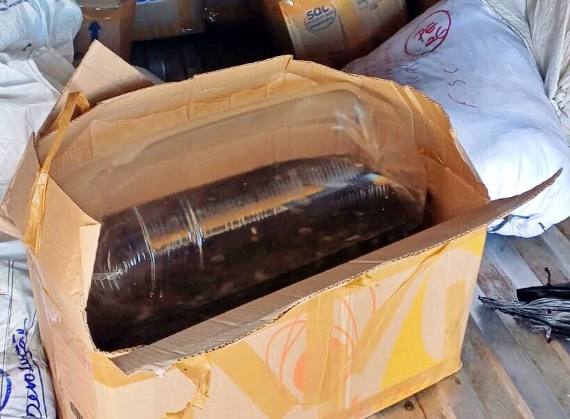 Adapi autua transporte irregular de alevinos em Valença e reforça importância do cumprimento da legislação sanitária