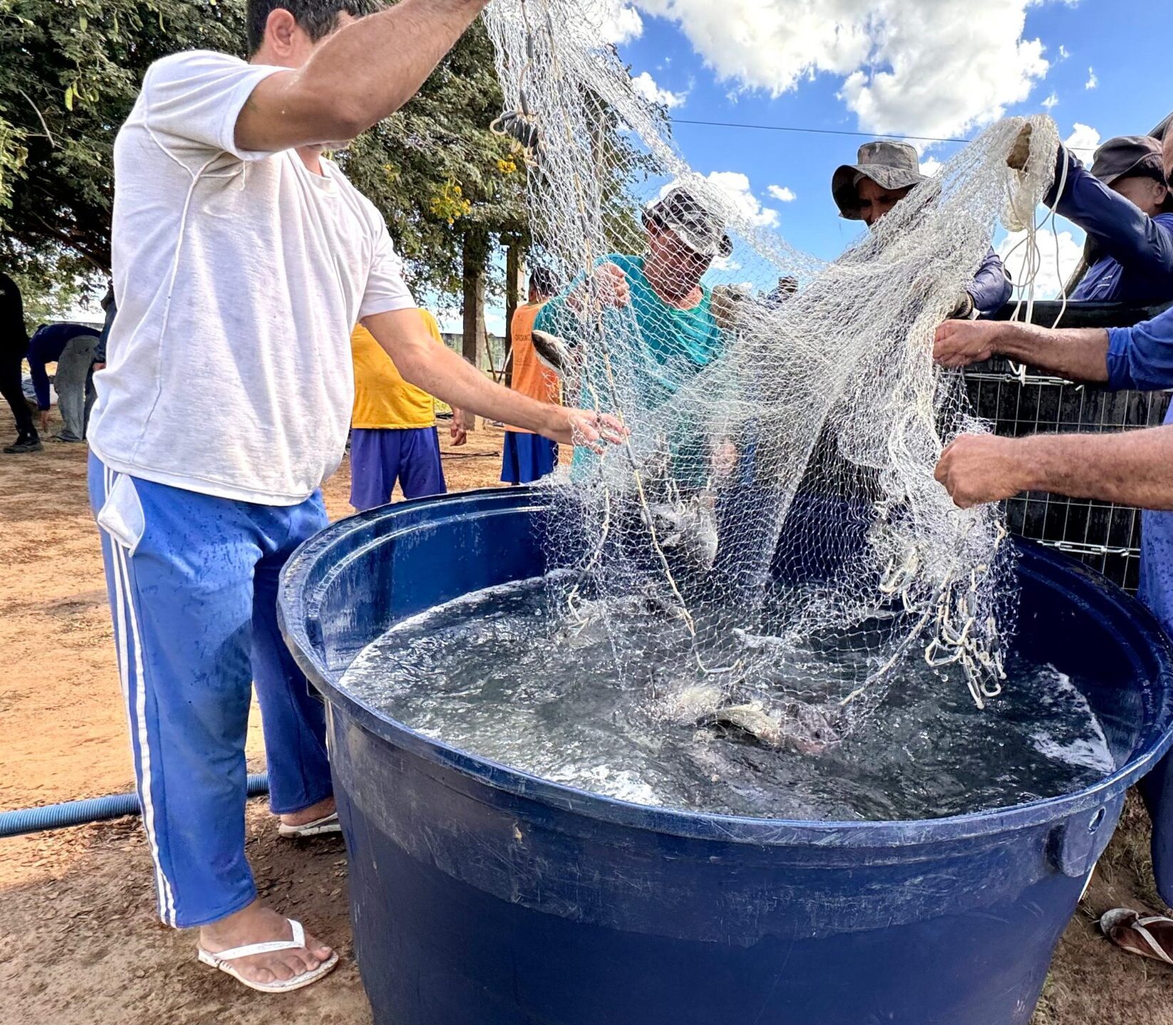 Sejus distribui 340 kg de peixes produzidos na Major César para unidades penais de Altos