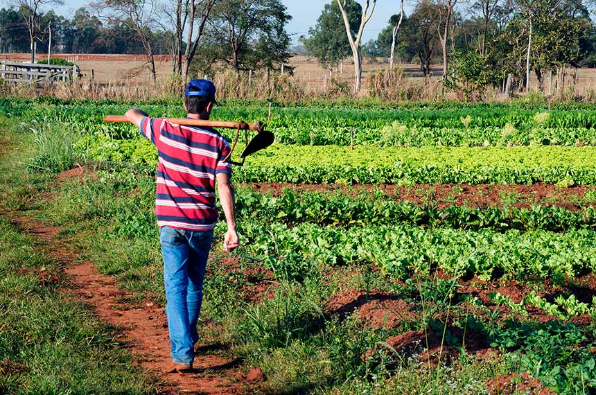 Política para manter jovens agricultores no campo agora é lei