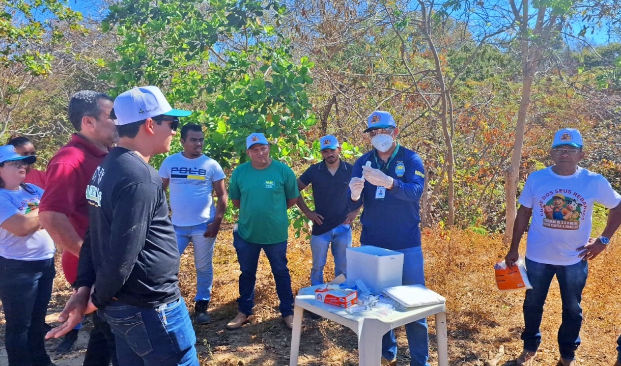 Vacinação contra a brucelose é tema de seminário promovido pela Adapi em Bom Jesus