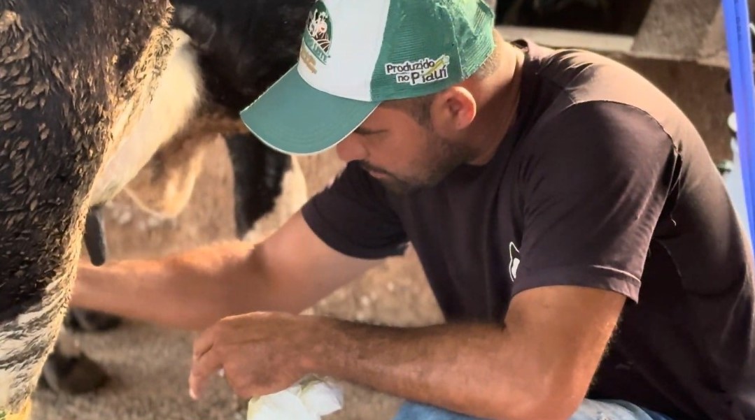 Investimentos na produção de leite aumentam renda de agricultores familiares e beneficiam 6 mil famílias em vulnerabilidade social