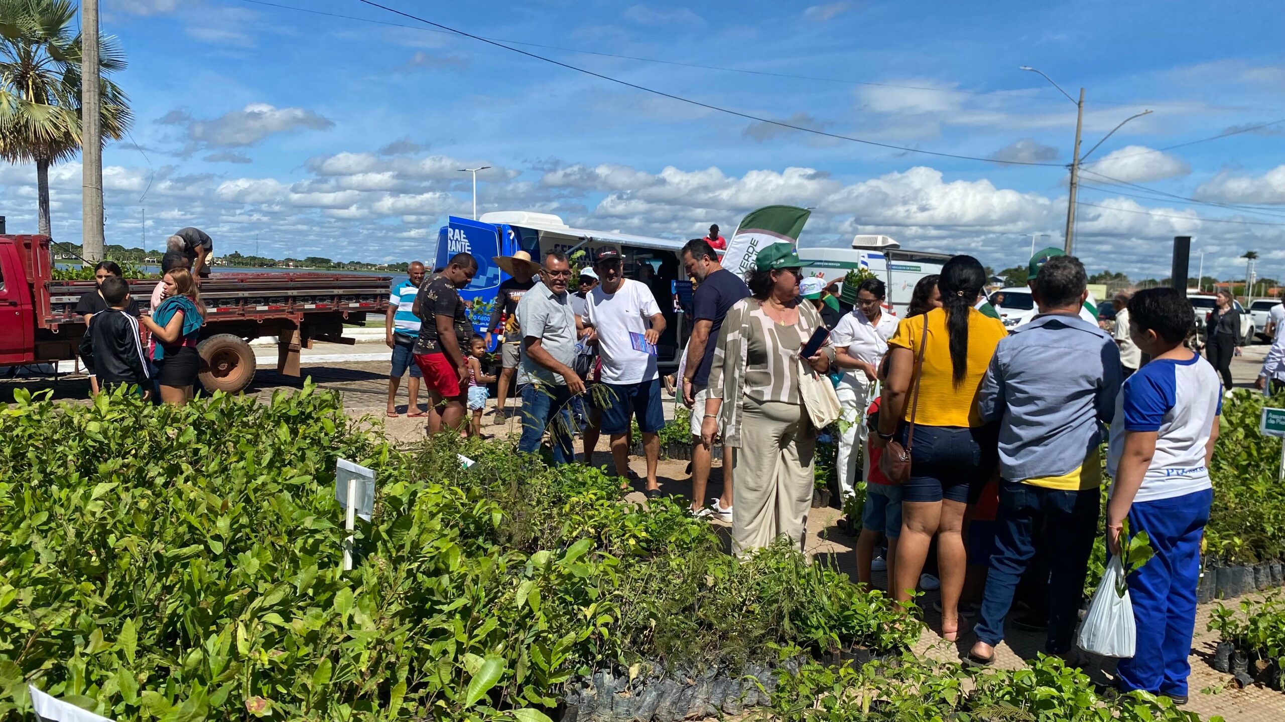 Semarh levará serviços ambientais e distribuição de 13 mil mudas ao Diálogos pelo Piauí em São Raimundo Nonato