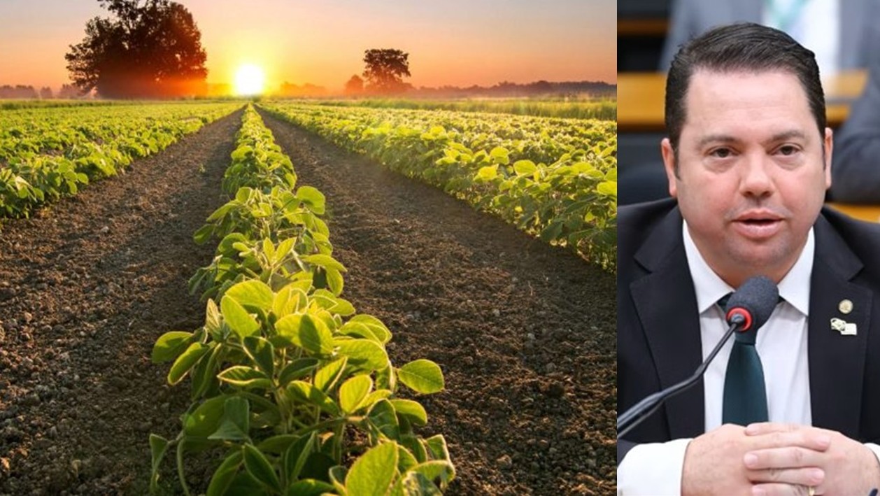 SERÁ? Agro aceita tarifaço para garantir anistia a Bolsonaro