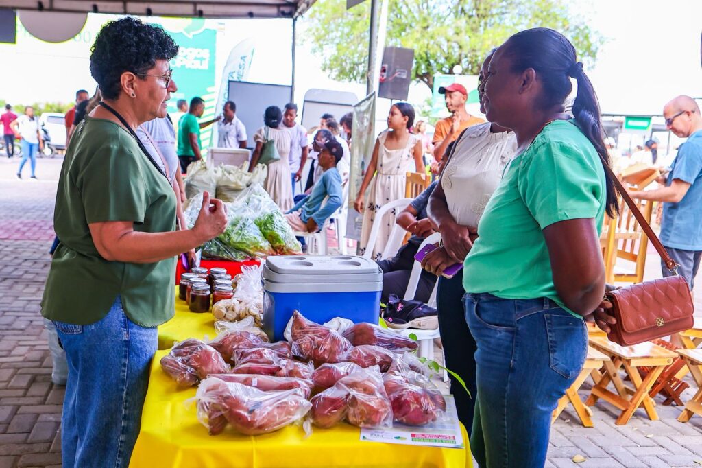Quitanda da Agricultura Familiar fortalece economia local durante Diálogos pelo Piauí na Serra da Capivara