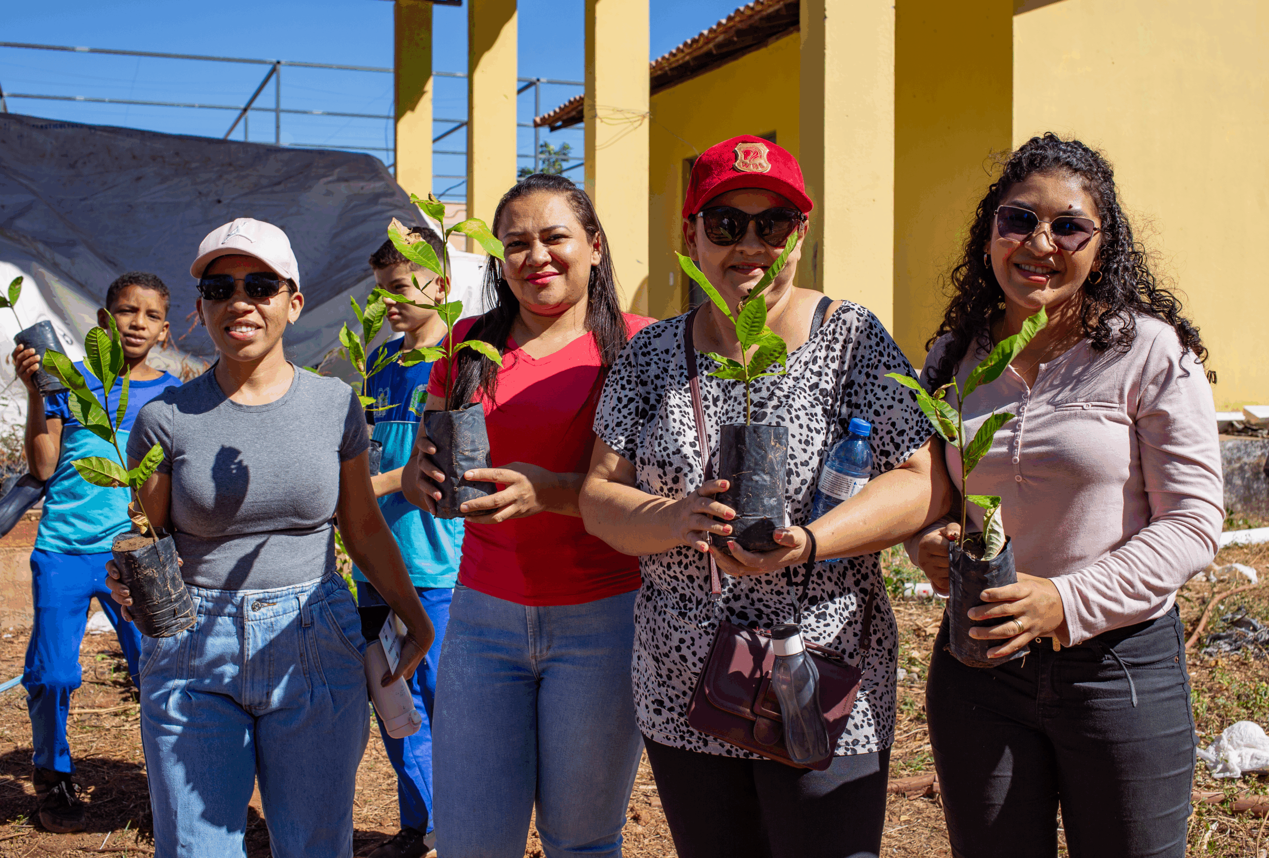 Mais de 66 mil mudas de plantas são distribuídas pela Semarh em 2025