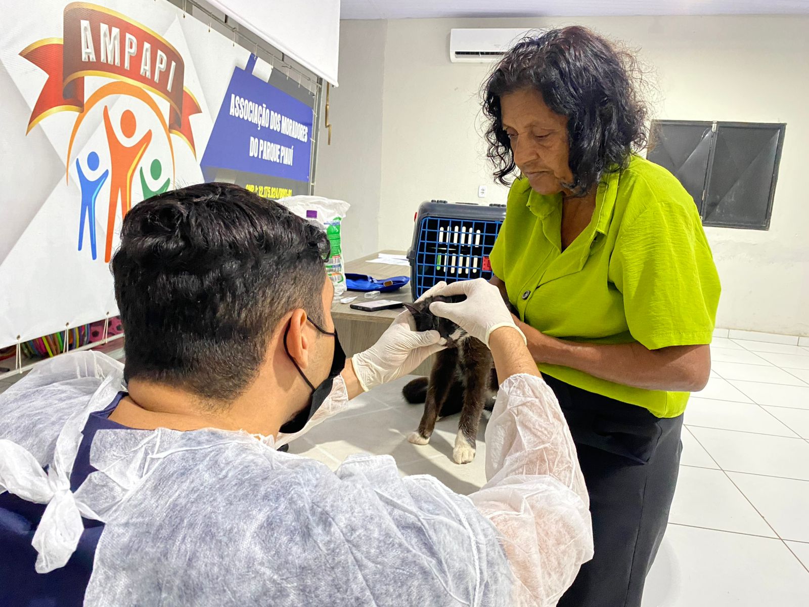 Castramóvel retoma atendimentos e realiza castrações agora dentro do próprio veículo