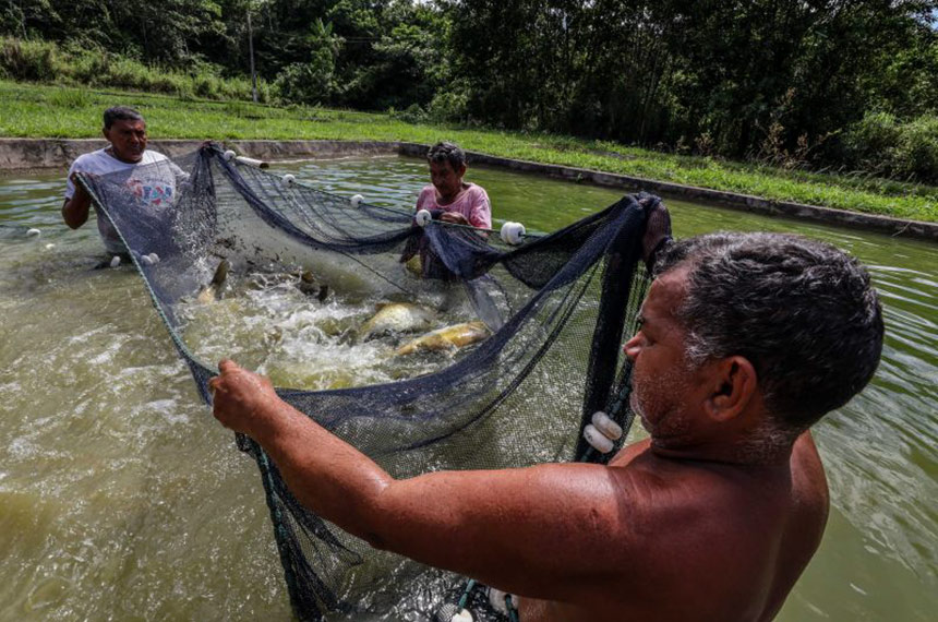 Projeto enquadra pequenos aquicultores como segurados especiais