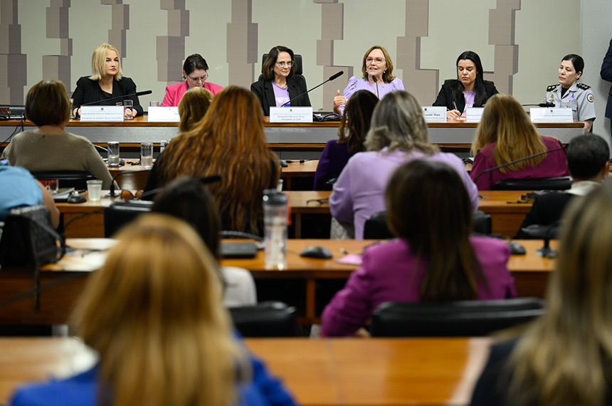 Agosto Lilás: senadoras cobram ação mais firme contra feminicídios