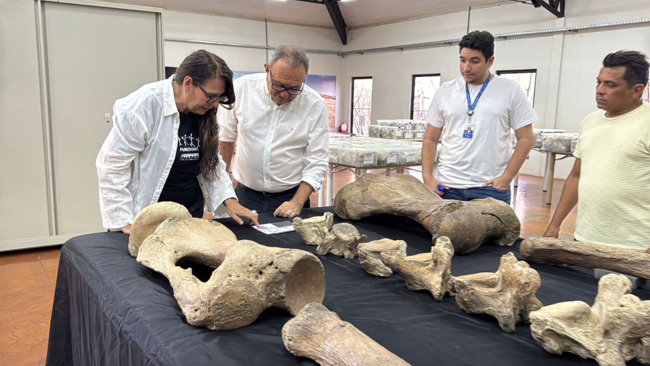 Fapepi reforça parceria com Fumdham para fortalecimento da pesquisa arqueológica no Piauí