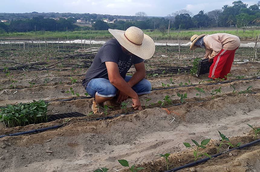 Projeto facilita acesso de agricultor familiar ao Benefício Garantia-Safra