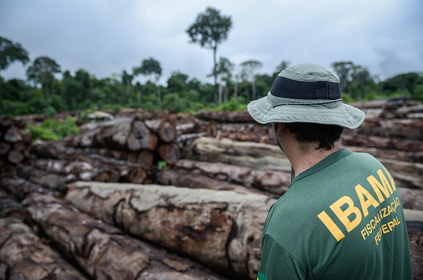 Subcomissão debate embargos do Ibama em cinco estados da Amazônia Legal
