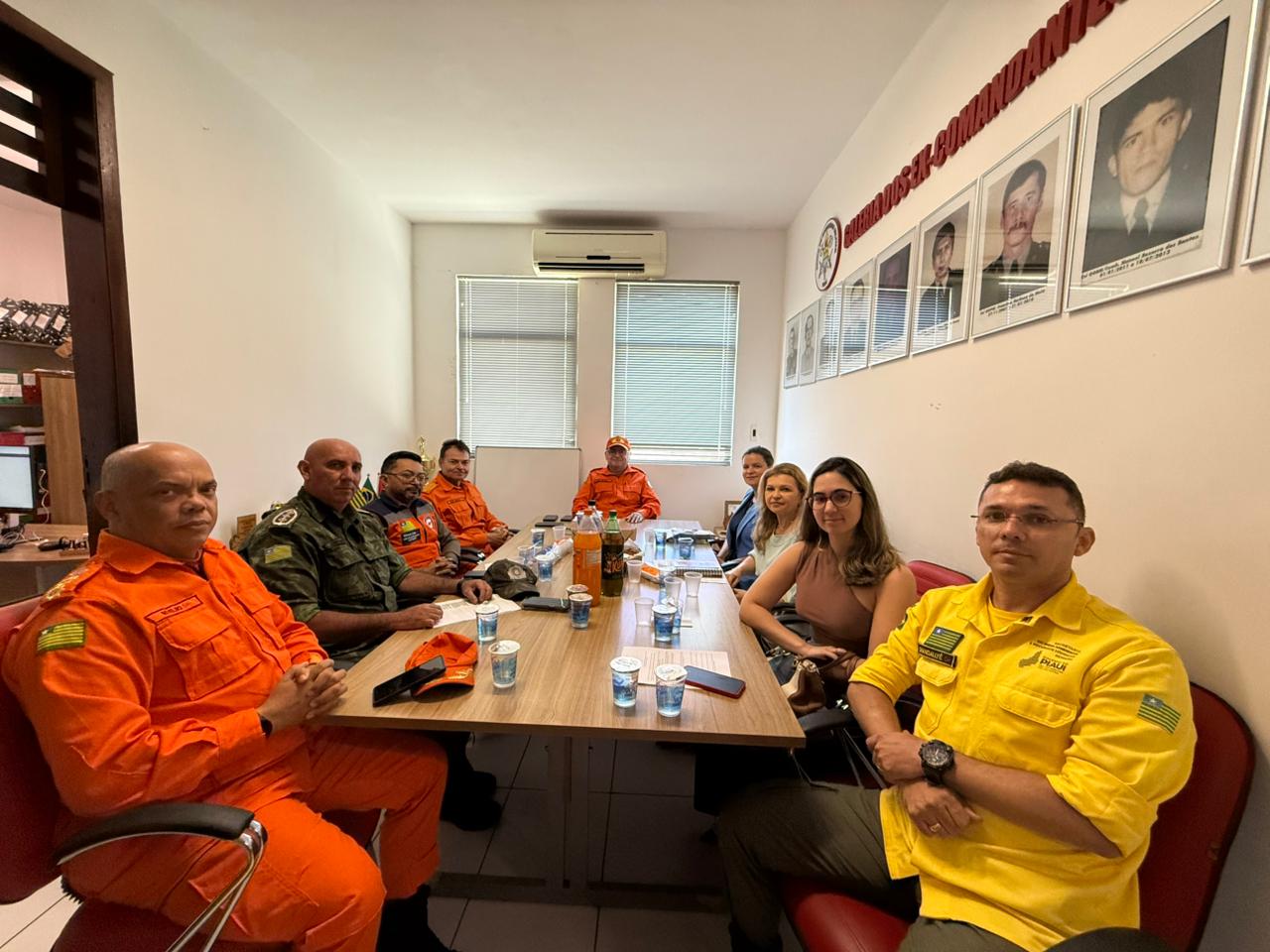 Semarh participa de reunião do Comitê Estadual de Prevenção e Combate a Incêndios Florestais