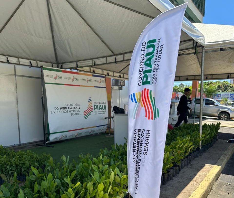 Semarh distribuirá 15 mil mudas no 4º Congresso das Cidades do Piauí