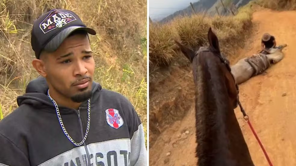 Cavalo mutilado: animal caiu por exaustão após ser forçado a cavalgar 15 km