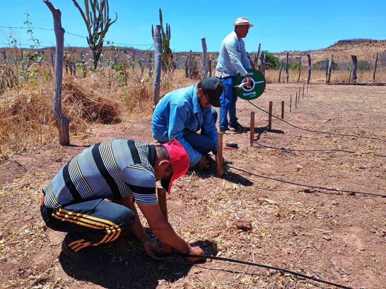Agricultura familiar de Tamboril do Piauí ganha reforço com o projeto “Do Quintal à Mesa”