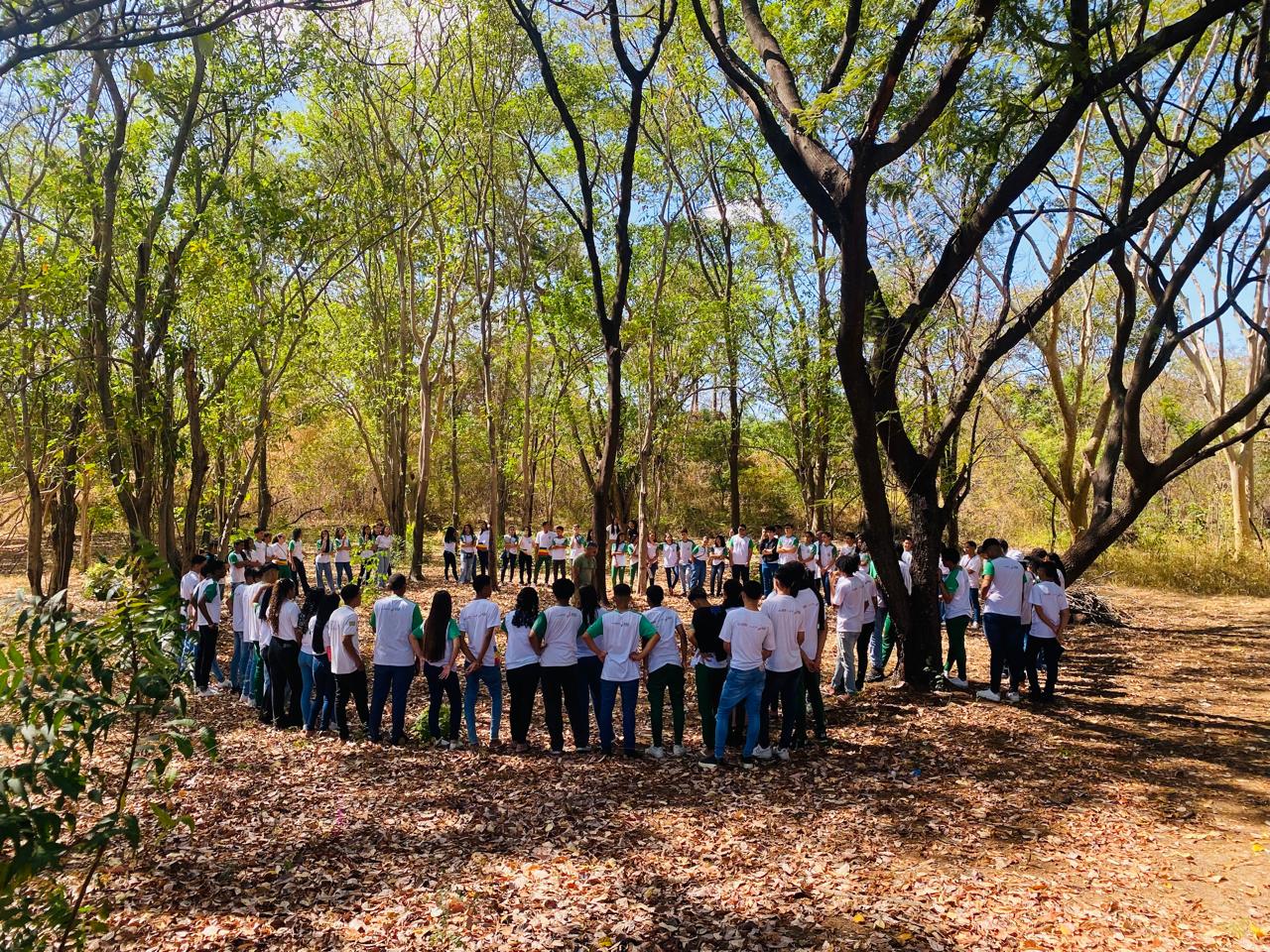 Estudantes da rede estadual conhecem Centro de Educação Ambiental e visitam Parque da Floresta Fóssil
